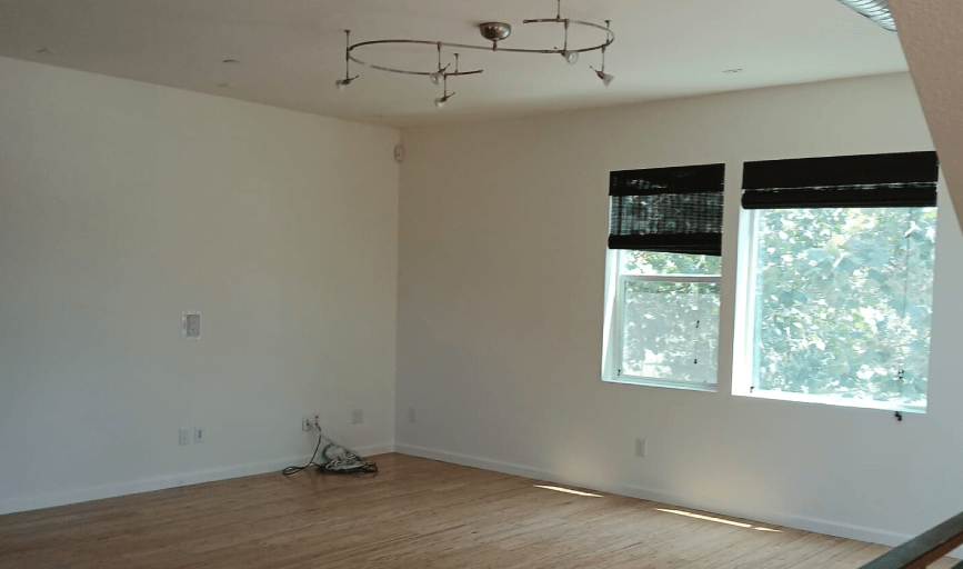 Andy's Pro Painting 